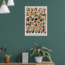 Search for vintage vegetable posters Pumpkins
