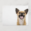 Search for panting postcards Humour