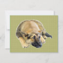 Search for german shepherd invitations Puppies