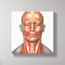 Search for muscles of the face posters Head