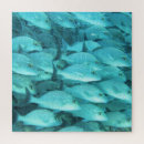 Search for marine life puzzles Nature