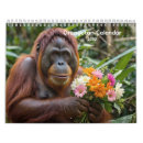 Search for monkey office supplies Jungle
