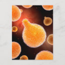 Search for microb postcards No people