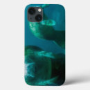 Search for adventure in a river electronics Florida