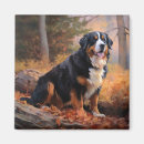 Search for bernese mountain magnets Pet