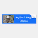Search for bald eagle bumper stickers America
