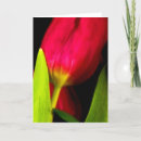 Search for tulips thank you cards Plants
