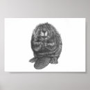 Search for beaver art Dam