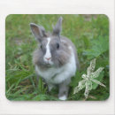 Search for fluffy mousepads Nature
