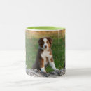 Search for shepherd puppy mugs Pets