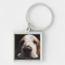 Search for restful key rings Dog