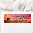 Search for orange black return address labels Silhouette