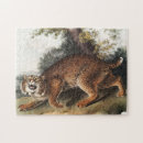 Search for lynx puzzles Mammal