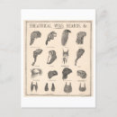 Search for beards postcards Theatre