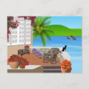 Search for beach cat postcards Vacation