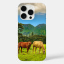 Search for ranches phone cases Horses