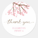 Search for cherry blossom sweet 16 Sakura