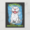 Search for pitbuls postcards White