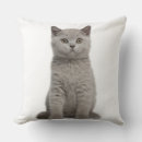 Search for british shorthair cushions Baby animals