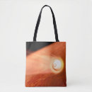 Search for aeronautics bags Perseverance