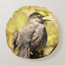 Search for grey cat cushions Yellow