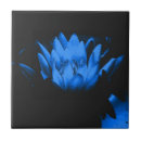 Search for glow tiles Nature