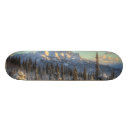 Search for akes skateboards Sky