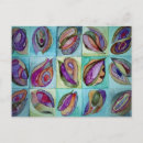 Search for shells postcards Funky