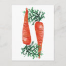 Search for veggies postcards Food