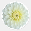 Search for dahlia flower stickers Summer