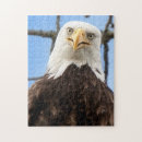 Search for wildlife photography puzzles Funny