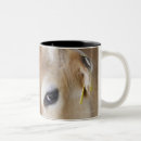 Search for jersey cows mugs Animal