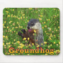 Search for groundhogs mousepads Nature