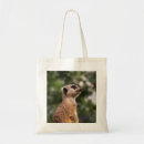 Search for meerkats bags Mammal
