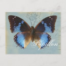 Search for papillons postcards French