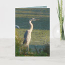 Search for great image cards Blue