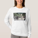 Search for stagecoach tshirts Lantern