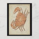 Search for vintage astrology postcards Cancer
