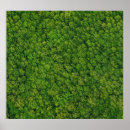 Search for copy space posters Tree