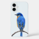 Search for bluebird iphone cases Nature