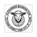 Search for lamb plates Ewe
