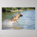 Search for german shepherd art Puppy