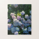 Search for hydrangea puzzles Gardener