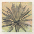 Search for cacti coasters Plant