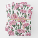 Search for carnations wrapping paper Pink