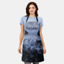Search for shoreline aprons Blue