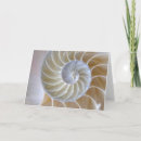 Search for nautilus cards Ocean
