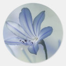 Search for fresh flowers stickers Nature