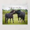 Search for brown postcards Beautiful