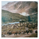 Search for cattle tiles Photographer